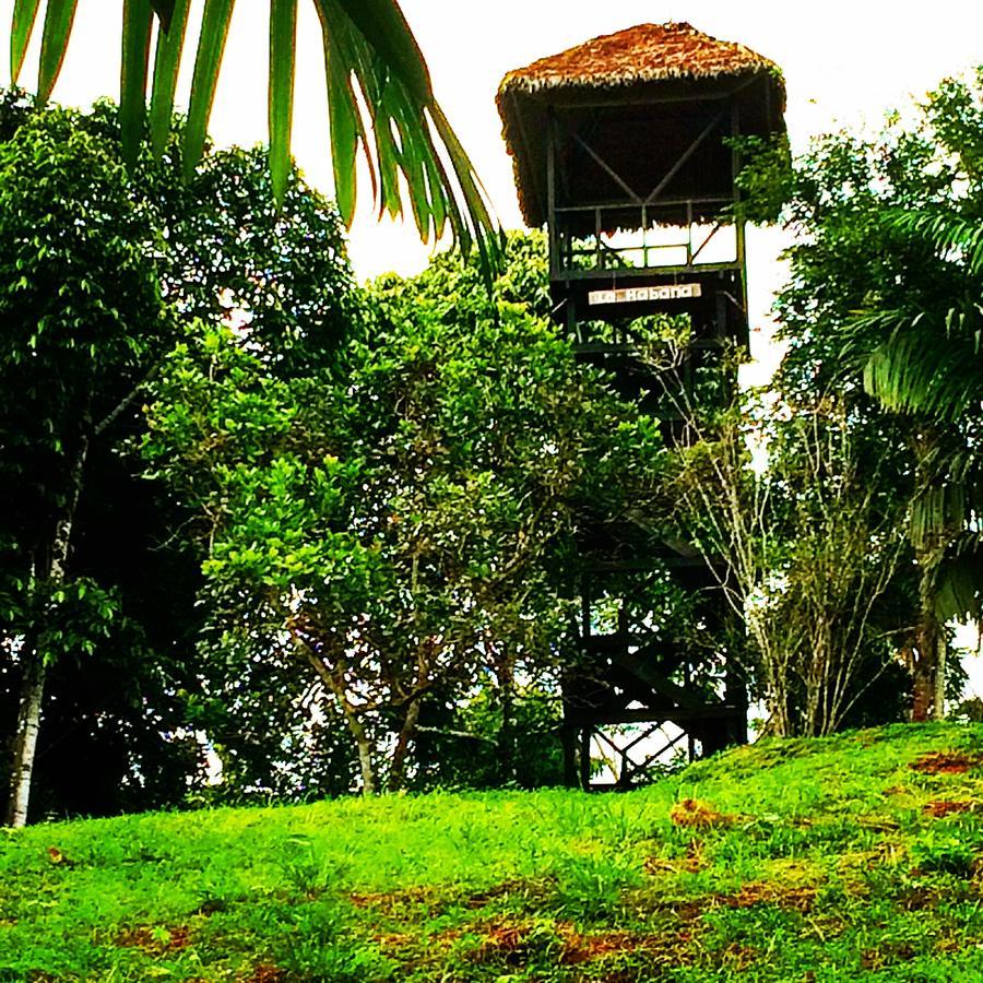La Habana Amazon Reserve ปูแอร์โต มัลโดนาโด ภายนอก รูปภาพ