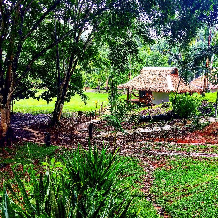 La Habana Amazon Reserve ปูแอร์โต มัลโดนาโด ภายนอก รูปภาพ